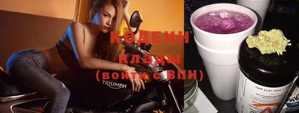 крисы Гусь-Хрустальный