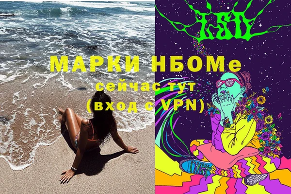 спиды Гусев