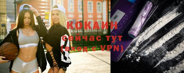 крисы Гусь-Хрустальный