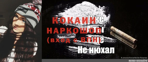спиды Гусев