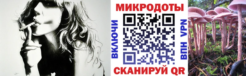 Галлюциногенные грибы GOLDEN TEACHER Купить закладки Ладушкин
